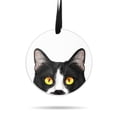 thumbnail image 1 of WIRESTER Large 3 inch Acrylic Ready to Hang Ornament, Hanging Ornaments for Christmas Tree Holidays Party Home Office Xmas Tree Decoration Gift - Animal Moustached Tuxedo Cat, 1 of 7