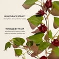 thumbnail image 3 of Sérum facial Shiseido Ultimune Power Infusing 120 ml antienvejecimiento, 3 of 8