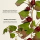 thumbnail image 3 of Sérum facial Shiseido Ultimune Power Infusing 120 ml antienvejecimiento, 3 of 8