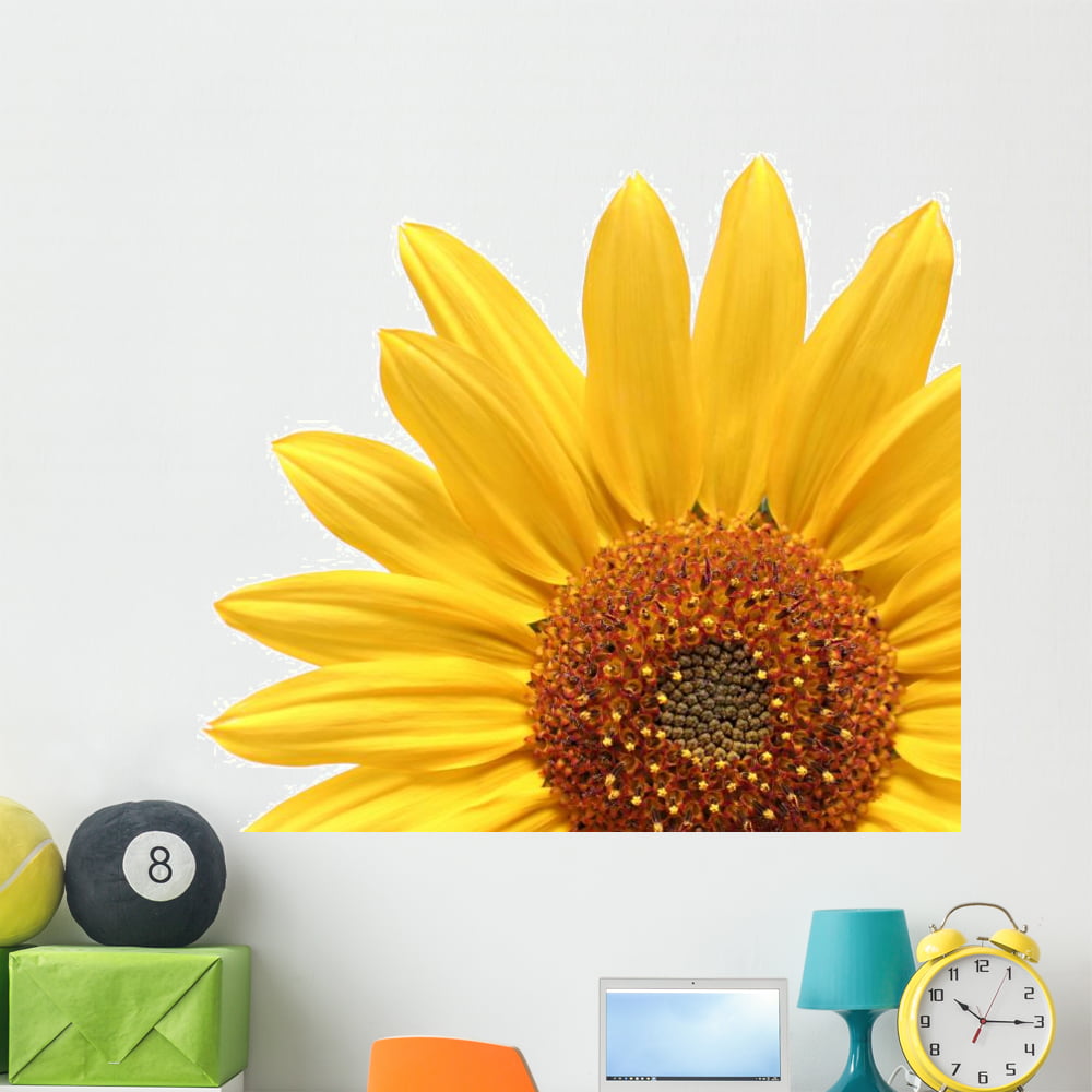 Sunflower over White Wall Decal by Wallmonkeys Peel and Stick Graphic