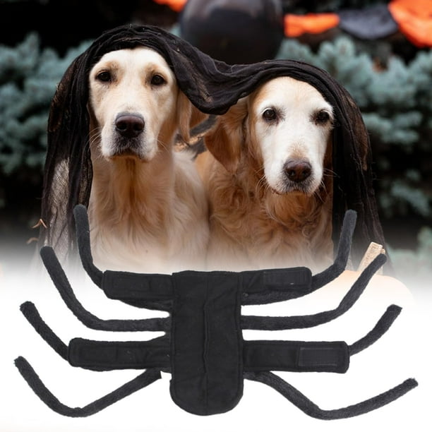 Spider costumes for dogs new arrivals