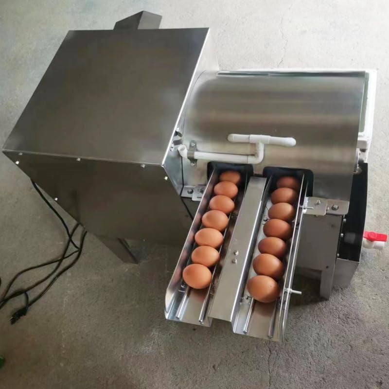 Double Row Automatic Egg Washing Machine Electric Farm Egg Surface Cleaning Machine 4000 Pcs/H