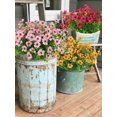 thumbnail image 4 of Artificial Faux Plants Flowers, Artificial Flowers Outdoor, Faux Flowers UV Resistant,Faux Plastic Plants Silk Daisy Flower for Outdoors Outside Front Porch Hanging Planter Window Decoration(Pink), 4 of 5