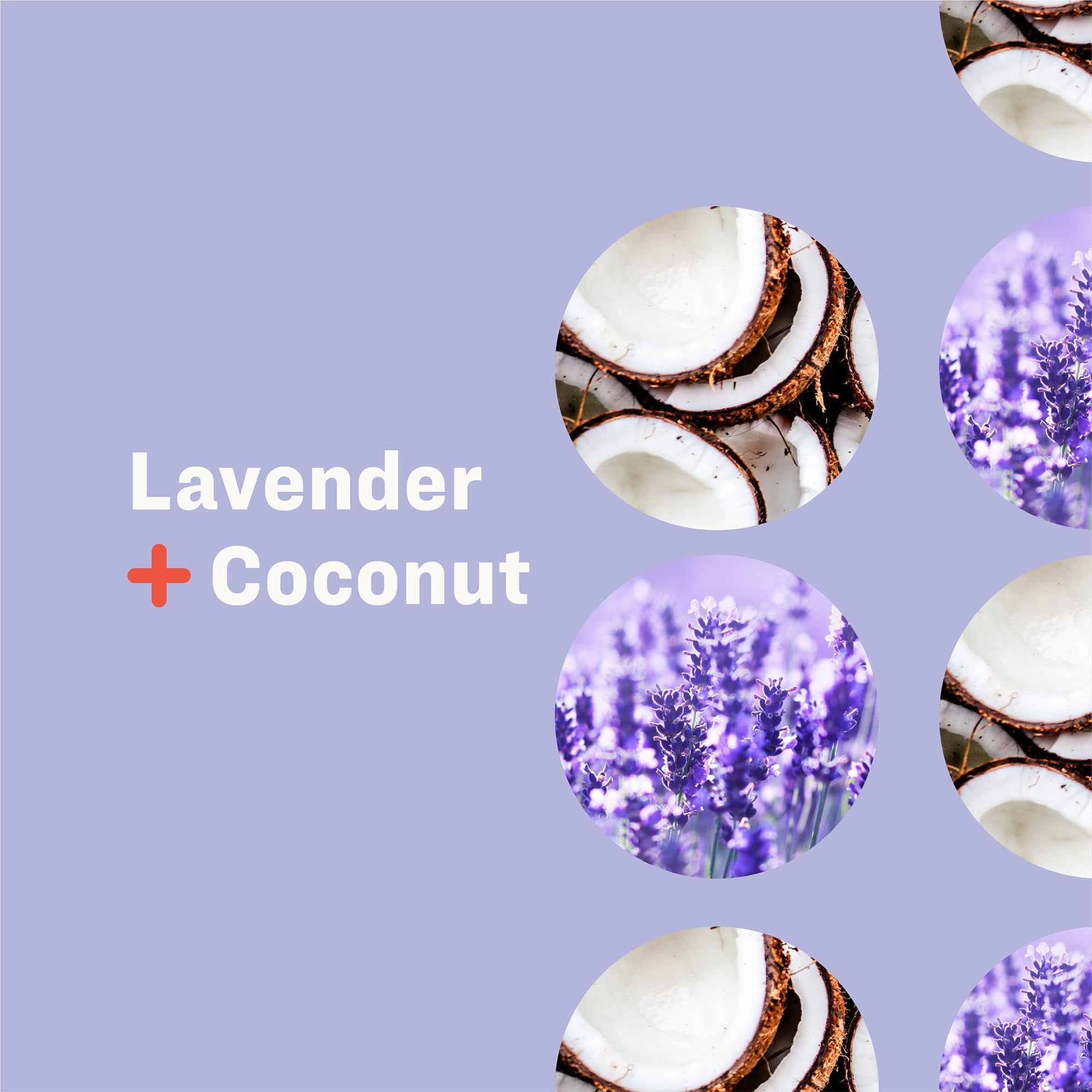 Everyone - Hand Soap Lavender Coconut Refill 32 Fz - Pack of 2