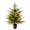 B#027, variant on 2ft Artificial Norfolk Pine Tree with Lights, UV Resistant Fake Cedar Plant for Indoor Outdoor, Pre-lit Potted Mini Christmas Tree Decor for Home Office Desk Tabletop, Realistic Faux Greenery