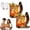 2, variant on 10oz Fun D-Cup Shaped Glass Cocktail Glass,Novelty Unique Shape Handle GlassMug,Handcrafted Prank Water Glasses,Clear Heavy Base Cocktail Glasses,for Juice Beverage Bar Party Gift for Men Women