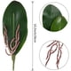 thumbnail image 1 of Hojas de OrquíDeas Phalaenopsis Plantas de Contacto de LáTex de RaíCes Artificiales de Aspecto Real Arreglo de Hojas de Imitación, 12 Piezas, 1 of 5