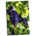 thumbnail image 2 of Gango Home Decor Grapes 1 by Alan Hausenflock (Ready to Hang); One 24x36in Hand-Stretched Canvas, 2 of 4