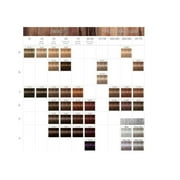 Schwarzkopf Professional Igora Royal Permanent Hair Color Creme Dye (8-55 Light Blonde Gold Extra)