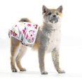 thumbnail image 4 of Sunrain Pack Of 3 Reusable Washable Dog Diapers, Highly Absorbent Dog Physiological Pants Sanitary, 4 of 4