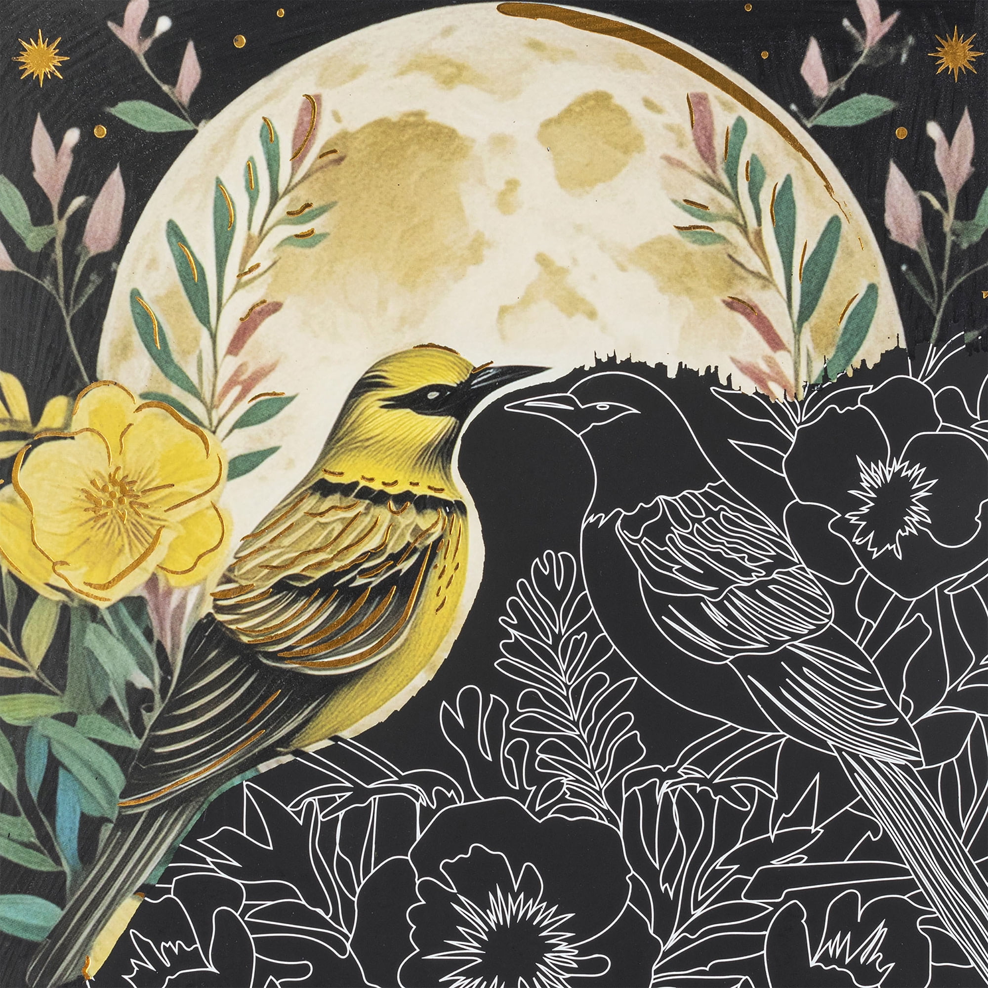 Brea Reese: Scratch Art Paper Pad - Midnight Botanicals - 6 Designs, Guided Art, Metallic Accents, Dual-Tip Stylus & Brush, 9x12" Pages, Adult Craft
