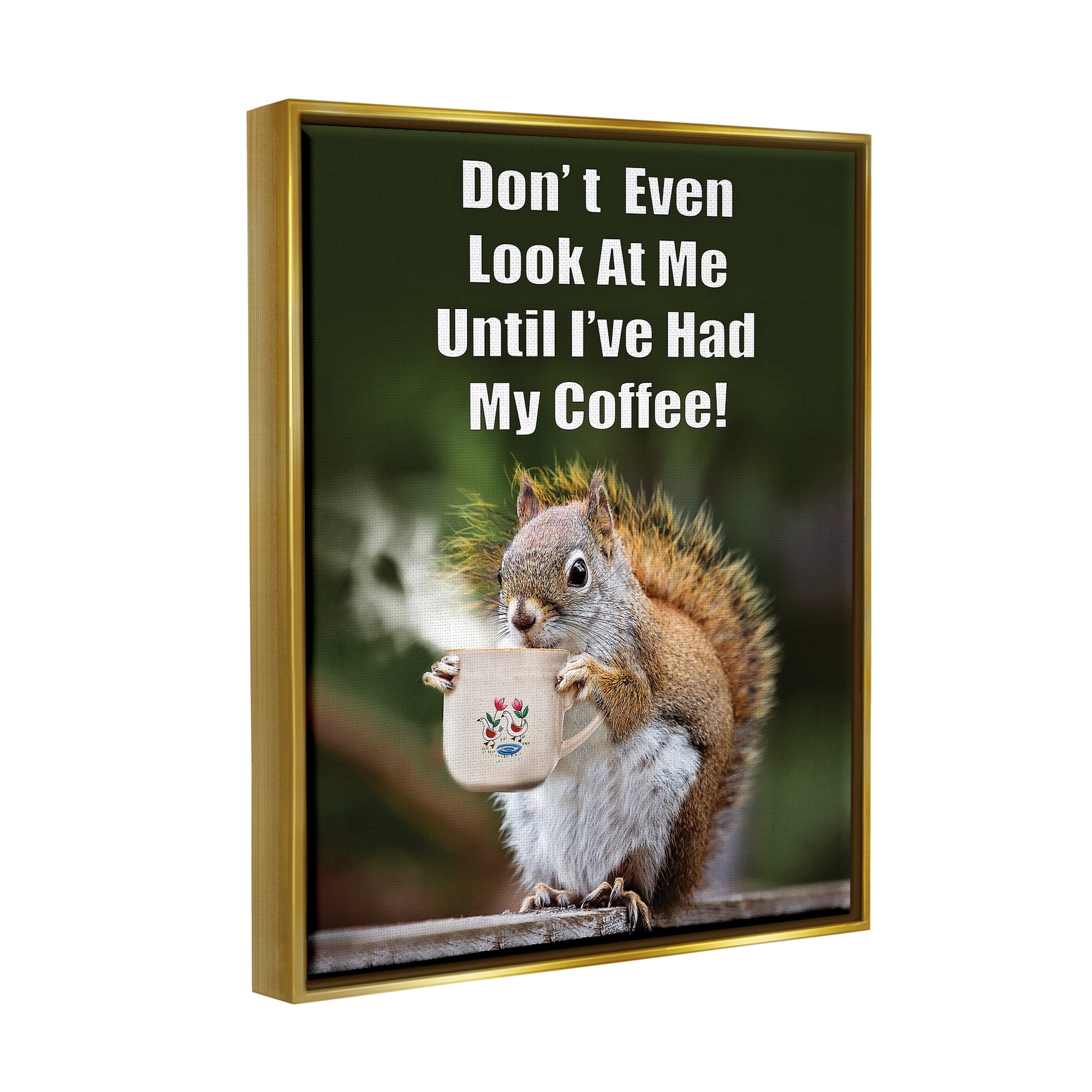 Stupell Industries Funny Squirrel Coffee Phrase Animals & Insects Painting Gold Floater Framed Art Print Wall Art, 17 x 21