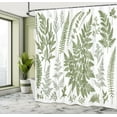thumbnail image 4 of Ambesonne Vintage Botany Shower Curtain, Delicate Fern Floral, 69"Wx75"L, Sage Green and White, 4 of 4