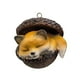 thumbnail image 5 of Adornos de avellana de bosque de resina - Decoración de 3 animales dormidos para árbol de Navidad - Búho, Conejito, Erizo - 3,14 pulgadas, 5 of 8