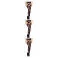 thumbnail image 1 of ZLight Bas Résille Lingerie Bas Fins Aguichant Mode Dentelle Jeux de Boîte de Nuit Collants pour Dames 3Ensemble, 1 of 6