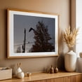 thumbnail image 5 of Pecking Order - Photography Silhouette Autumn Bird Moody Woodland Wildlife Gothic Unframed Wall Art Print 24 x 36 inches, 5 of 7