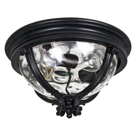 - Maxim 41420WGBK Camden VX Outdoor Ceiling Mount - 16W in. Black