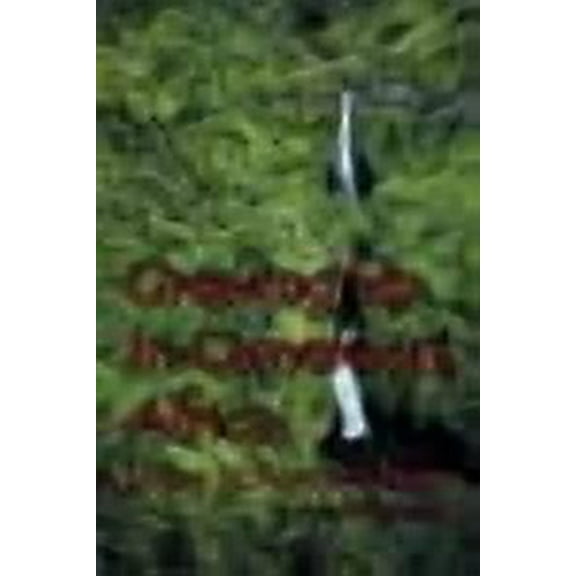 Growing Up In Cameroon, Africa: Living In America Now