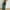 Green, variant on Yanyanz Bestselling Swimsuit, Women Piece Piece Cover Two Piece Print Swimsuit Monokini Swimsuits Two Piece , Tankini Swimsuits for Women, Modest Swimsuits for Women, Bathing Suit for Women AG L
