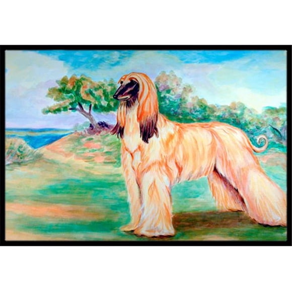 Carolines Treasures 7138JMAT 24 x 36 in. Afghan Hound Indoor Or Outdoor Mat