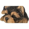 thumbnail image 3 of Hi-Line 2.5" Everyday Yorkshire Terrier Puppy Polyresin Statue, 3 of 3
