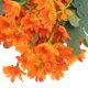 thumbnail image 5 of WEUVEB Flores Artificiales De Margarita Para De Hogar Y Eventos Especiales, 5 of 6