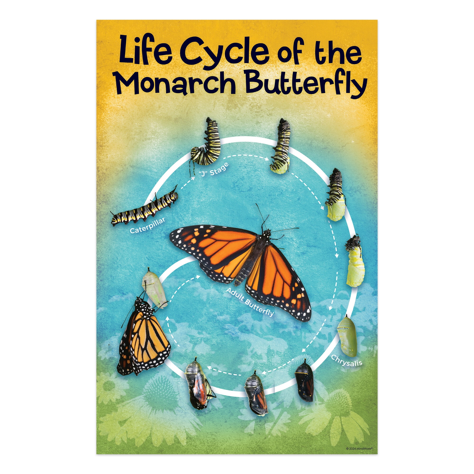 MindWare Make Your Own Butterfly House Kit, Butterfly Craft Kit for Kids Age 5 and Up