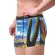 thumbnail image 2 of Fotbe Western Desert Cactus Calzoncillos Tipo Boxer con Bolsa de Soporte Total para Hombre, X-Temp Fresco, Transpirable y de Secado Rápido-Large, 2 of 5