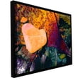 thumbnail image 2 of ArtWall Dean Uhlinger "Pebbles On Kelp" Floater Framed Gallery-Wrapped Canvas, 2 of 2