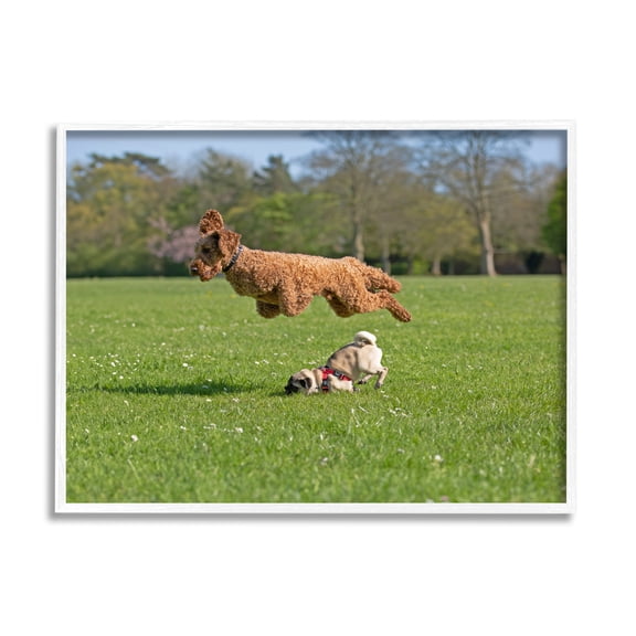 Stupell Industries Jumping Dogs in Field Animals & Insects Photography White Framed Art Print Wall Art, 20 x 16