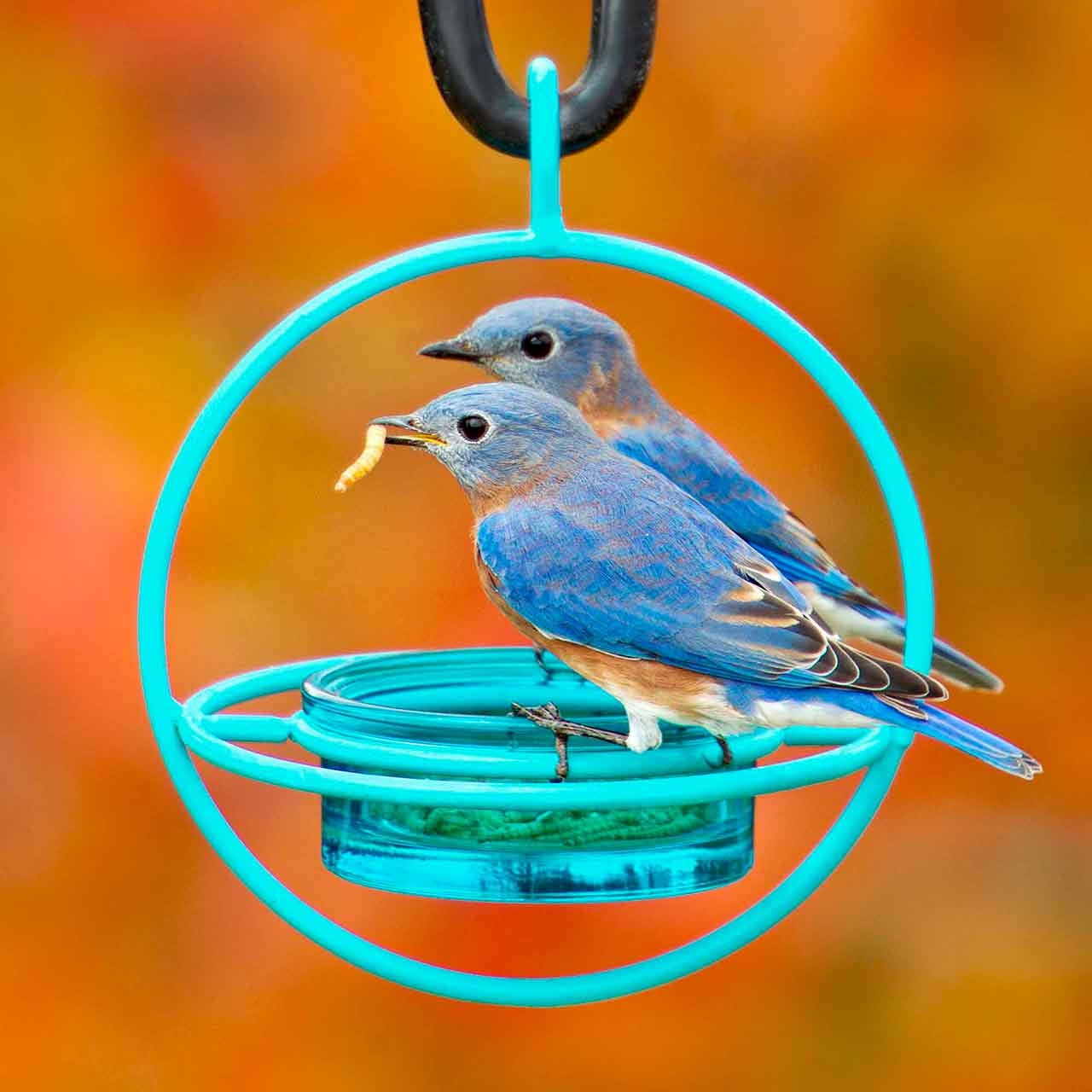 Mosaic Birds Hummble Bold Hanging Bird Feeder for Outdoors, Oriole, Finch Wild Bird Feeders - Red