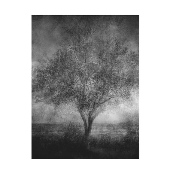 Canvas Wall Art - Katarina Holmstrom 'Reminisce' Wall Art for Living Room, Bedroom, or Office D?cor by Trademark Fine Art - 14 x 19 Inches