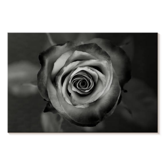 Elephant Stock Black White Rose Wall Art - Horizontal Canvas Wall Art - Living Room Wall Decor - Floral And Botanical Canvas - Black And Gray Decor - 12" x 8"