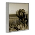 thumbnail image 4 of Stupell Industries Relaxed Dog with Music Animals & Insects Photography Gray Framed Art Print Wall Art, 24 x 24, 4 of 10