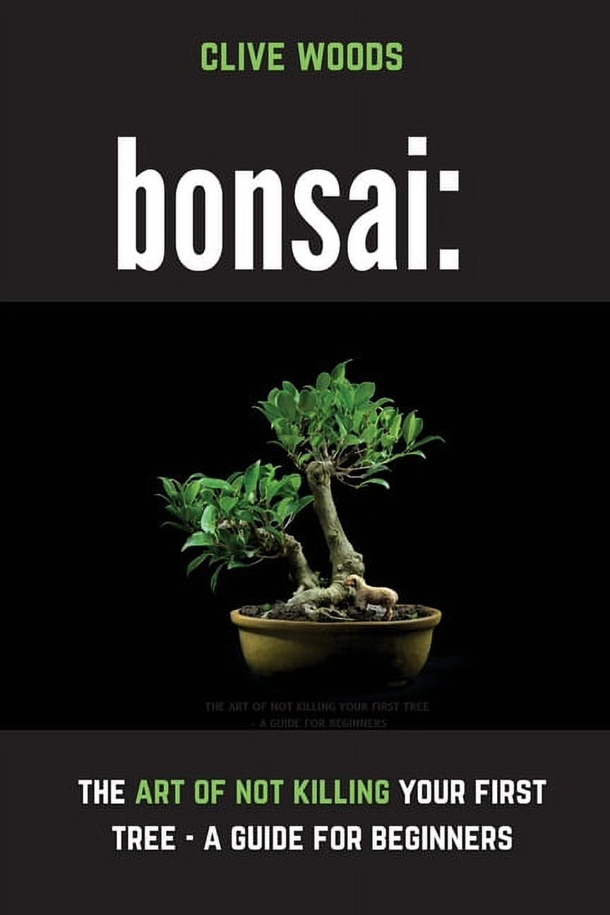 bonsai yew Golden Dwarf Japanese Yew