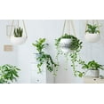 thumbnail image 5 of Ceramic Hanging Planter for Indoor Outdoor, Decorative Boho Flower Green Grass Plant Succulent Air Plants Hanging Plant Pots Holder, 5 of 5