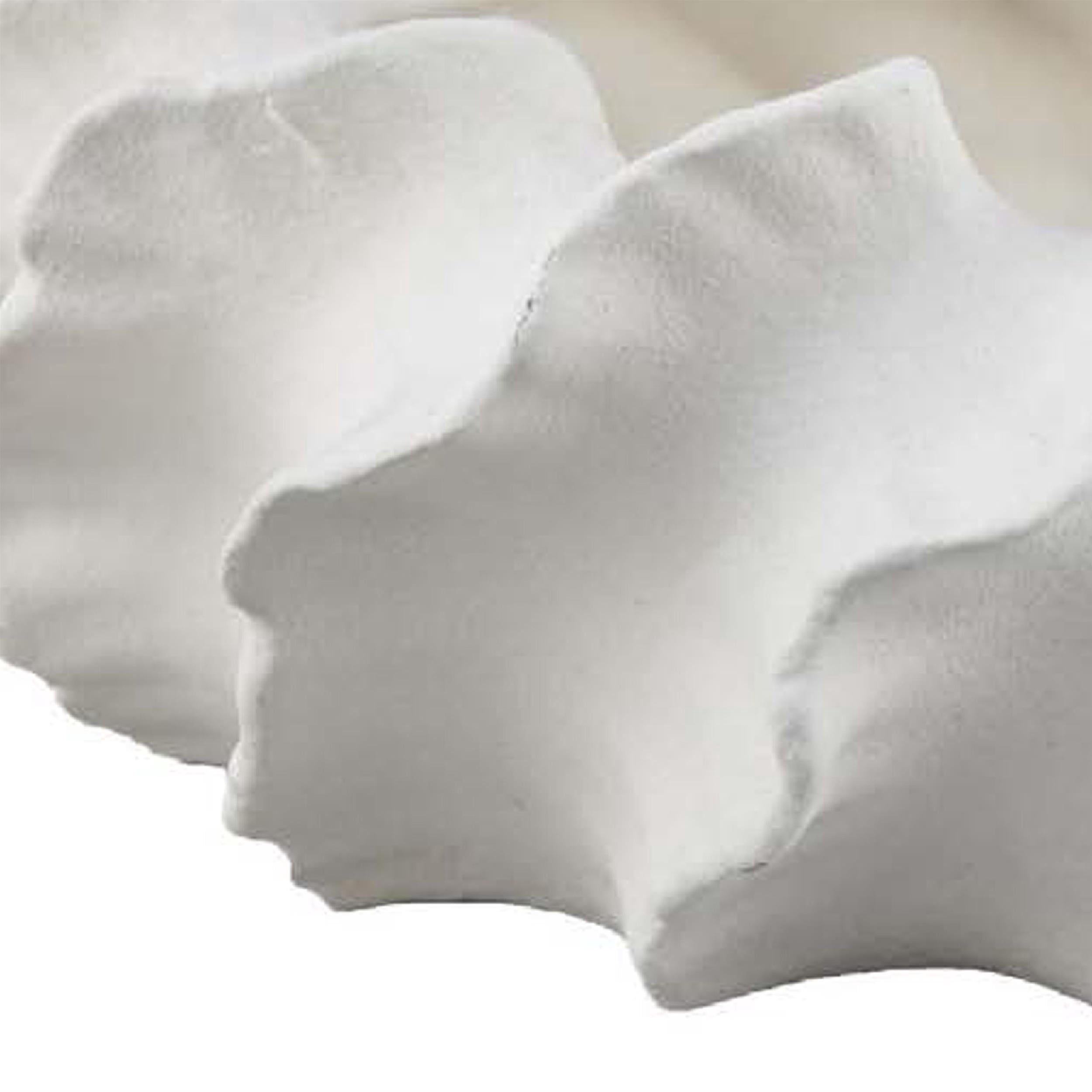 Benjara Velz Decorative Planter- 16" Wavy Edge- Matte White Ceramic