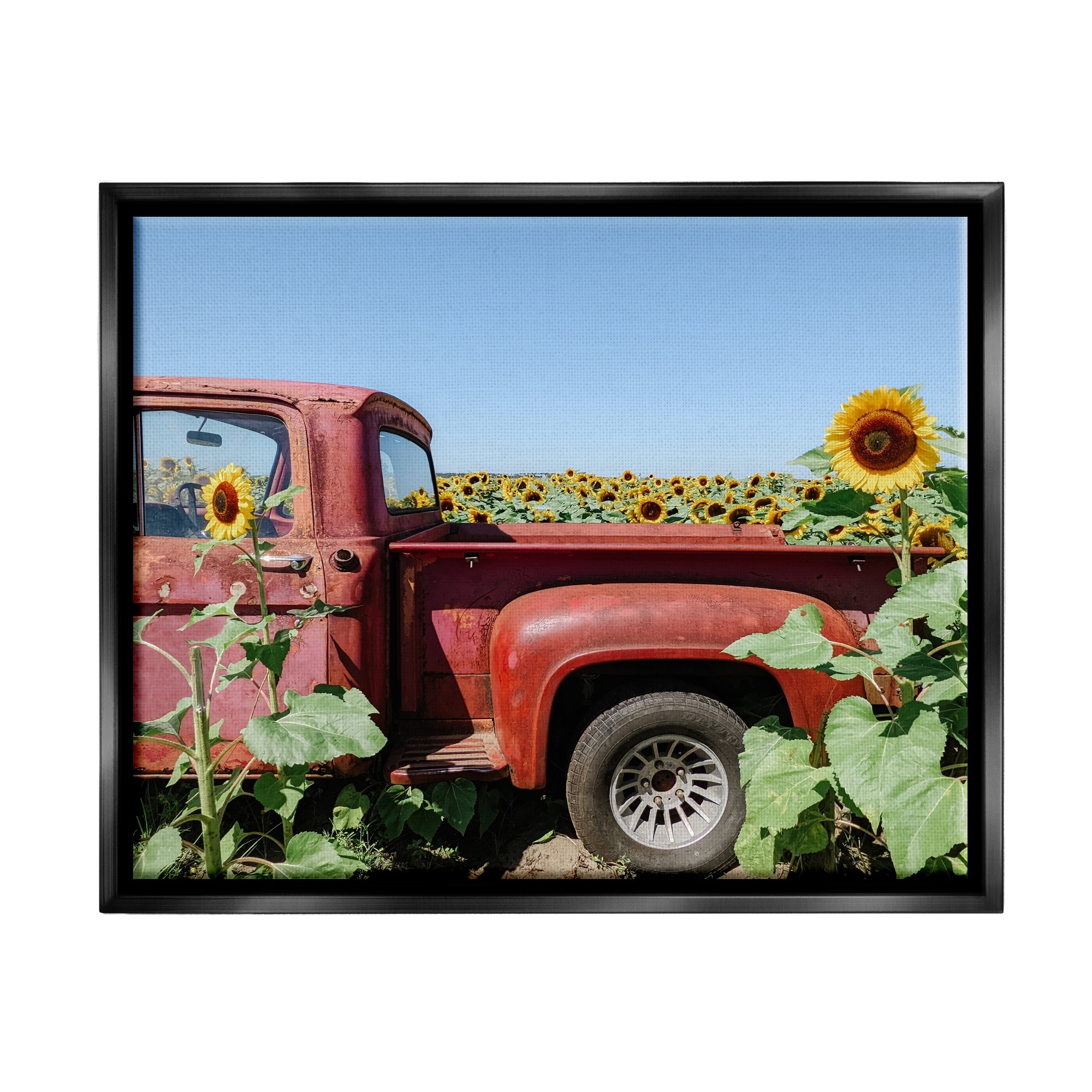 Stupell Industries Red Vintage Pickup Truck Amidst Sunflower Field Photograph Jet Black Floating Framed Canvas Print Wall Art, Design by Kali Wilson