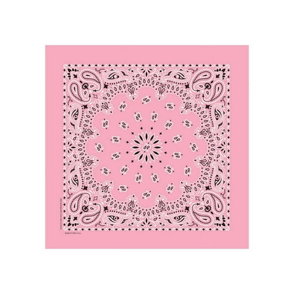Bandanna Co Paisley, Light Pink, 22" x 22" (5th)