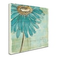 thumbnail image 3 of Trademark Fine Art "Spa Daisies III" Canvas Art by Chris Paschke, 3 of 4