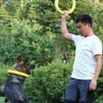 thumbnail image 3 of Dujiujun Dog Toy Lightweight Floating Pet Chew Toy Bite-resistant Interactive Dog Training Ring for Outdoor Activity, 3 of 8