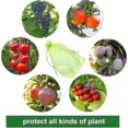 thumbnail image 2 of 100 Pieces Grape Bunch Protective Bag, Size: 30 X 20 Cm, Color: Green, With Cord, Gives Total Protection Against Wasps, Birds, Material: Organza, 2 of 3