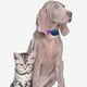 thumbnail image 4 of Correa de nailon resistente para collar de perro, compatible con casi todas las marcas y modelos. MFZFUKR CPB-US-YY44-4, 4 of 5