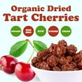 Organic Dried Cherries, 10 Pounds — Lightly Sweetened, Pitted, NonGMO