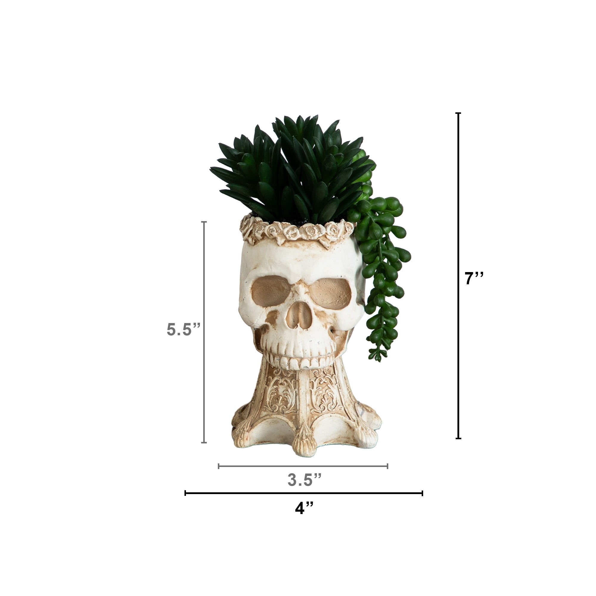 7in. Artificial Halloween Succulent Garden in Skull Planter - Set of 2