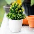 thumbnail image 4 of 2PCS Artificial Potted Small Greenery,Realistic Mini with Flowers for Indoor Home Decor,Desktop Table Centerpiece for Bathroom,Farmhouse Displays,Mother's Day,Christmas Gifts, 4 of 6