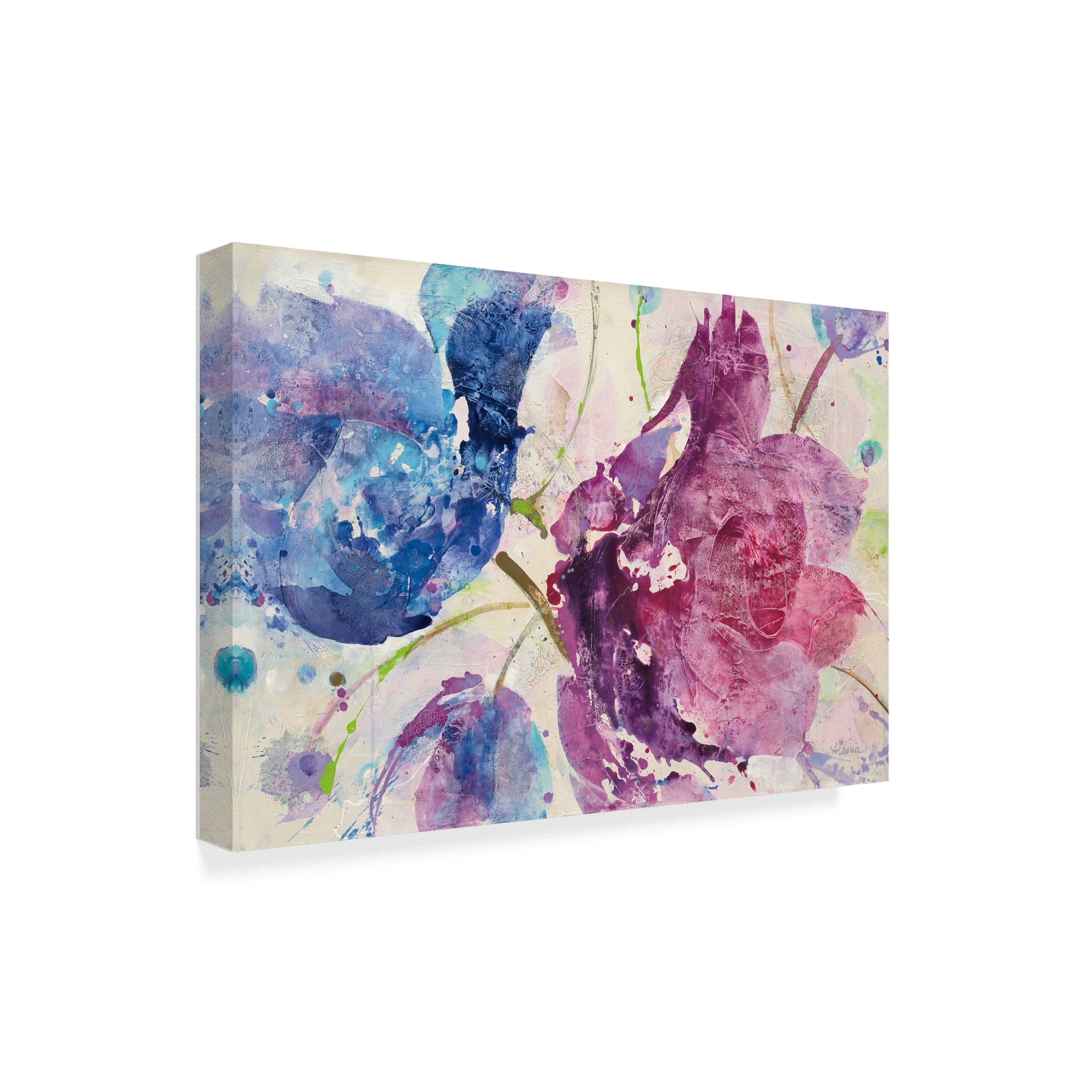 Trademark Fine Art 'Fireworks Abstract v2' Canvas Art by Albena Hristova