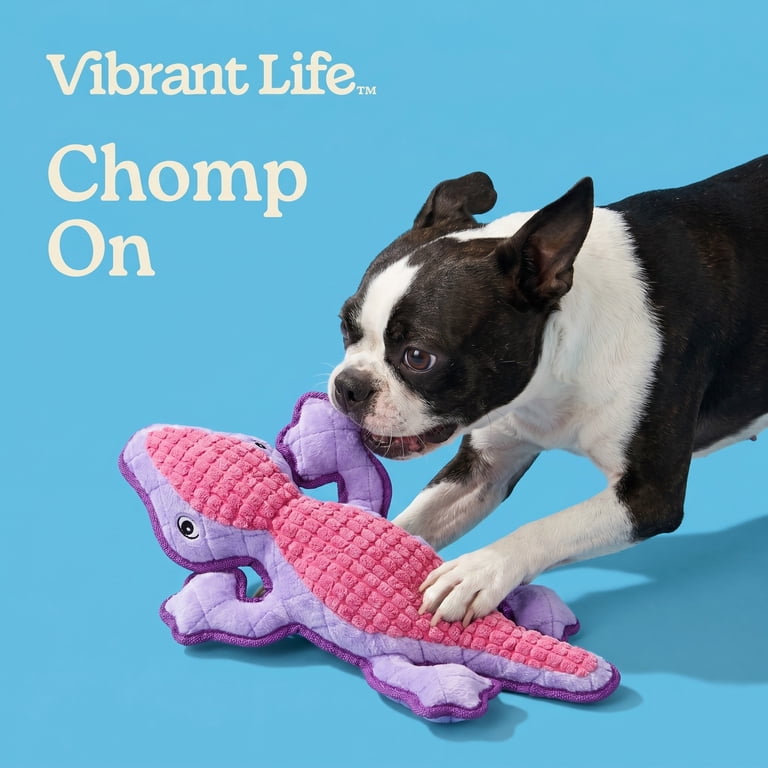 Vibrant Life Durable Squeaky Plush Tough Buddy Lizard Dog Toy Chew