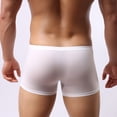 thumbnail image 2 of Pantalones planos para hombre, ropa interior transparente, pantalones de cuatro patas de seda de hielo transparente para hombre, ropa interior sexy con nariz de elefante, 2 of 4