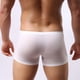 thumbnail image 3 of Pantalones planos para hombre, ropa interior transparente, pantalones de cuatro patas de seda de hielo transparente para hombre, ropa interior sexy con nariz de elefante, 3 of 5
